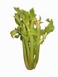 Celer - zelenina plná vitamínů a minerálů